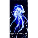 Méduse Bleue-20x40cm-80€