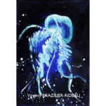 Méduse Turquoise-Format F1(16x22cm)-45€